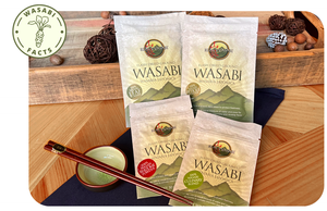 Fresh Real Wasabi Rhizomes | Authentic Wasabia japonica Roots