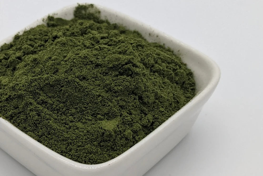 Buy Real Japanese Wasabi Powder | Real Wasabi