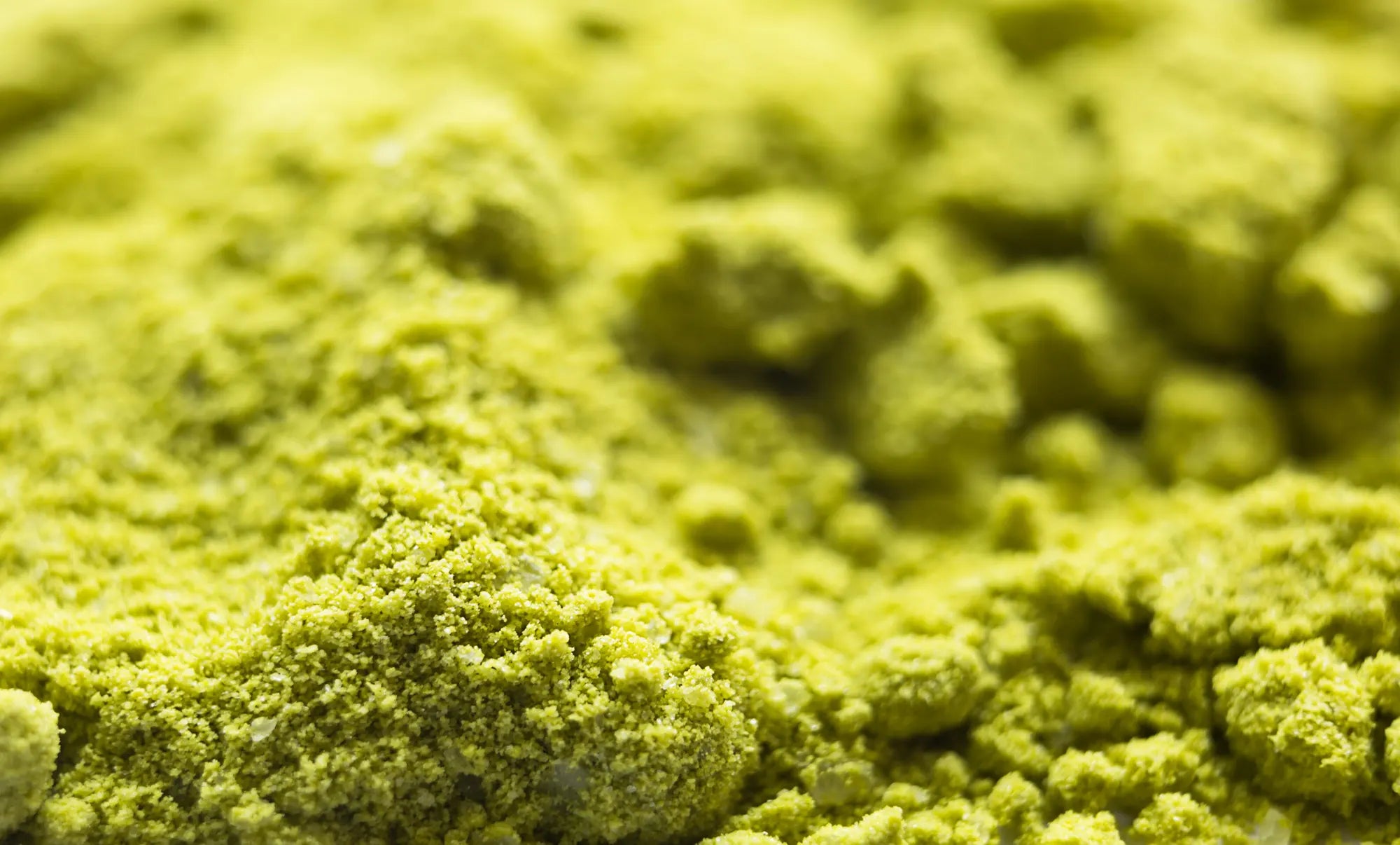 Buy Real Japanese Wasabi Powder Real Wasabi