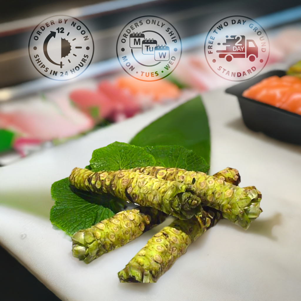 Fresh Real Wasabi Rhizomes | Authentic Wasabia japonica Roots