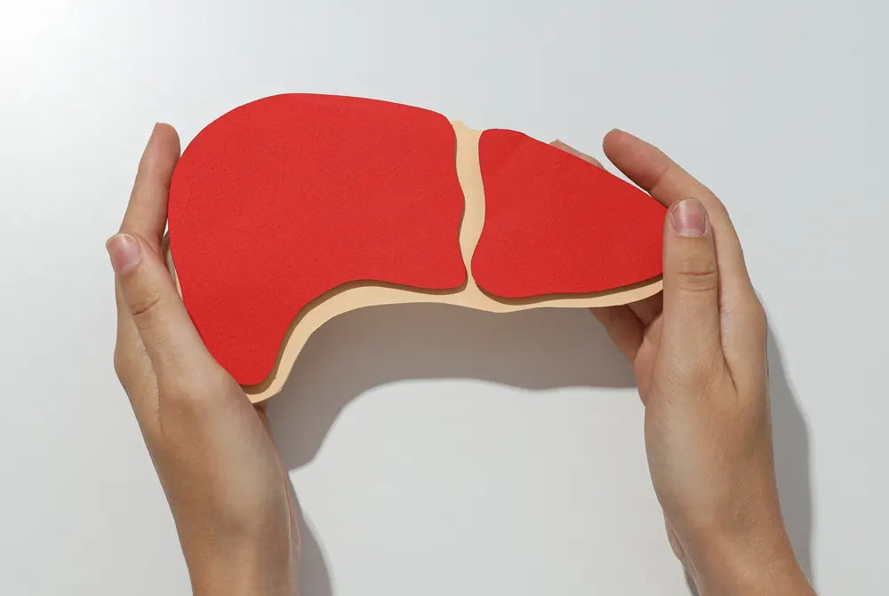 Wasabi Health Benefits Facts and Insights Real Wasabi Real Wasabi, USA